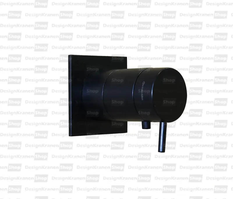 Ο Waterevolution Flow εντοιχισμένος θερμοστάτης ντους με τετράγωνη ροζέτα μαύρο ματ T142TBPR.