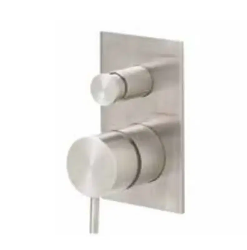 WaterEvolution Flow εντοιχιζόμενος θερμοστάτης ντους με 2 εξόδους από ανοξείδωτο ατσάλι T132TBIE.