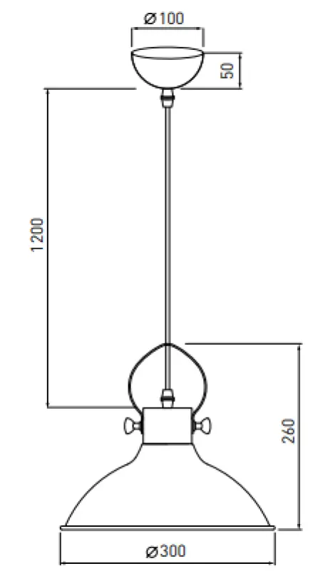 Dekor Mees zwarte metalen hanglamp met kapbevestiging in vorm van petroleumlamp 2363

Διακόσμηση Mees μαύρο μεταλλικό κρεμαστό φωτιστικό με στήριξη καπέλου σε σχήμα λαμπτήρα πετρελαίου 2363