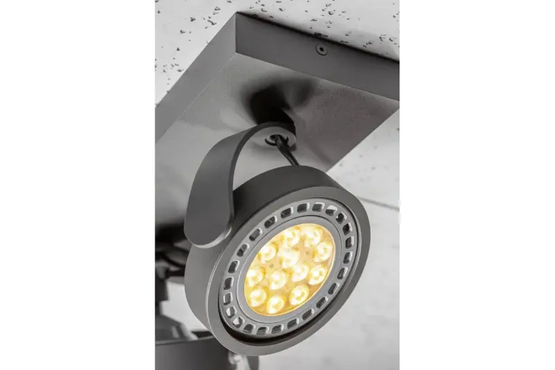 Διακόσμηση Wally φωτιστικό οροφής ή απλίκα ανθρακί σε κινούμενη κεφαλή 2 πηγές φωτό