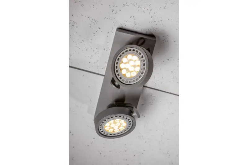 Διακόσμηση Wally φωτιστικό οροφής ή απλίκα ανθρακί σε κινούμενη κεφαλή 2 πηγές φωτό