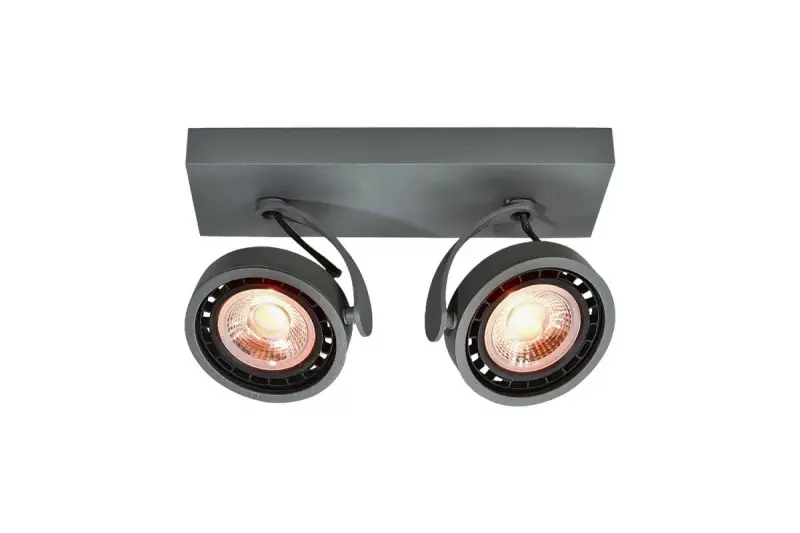 Διακόσμηση Wally φωτιστικό οροφής ή απλίκα ανθρακί σε κινούμενη κεφαλή 2 πηγές φωτό