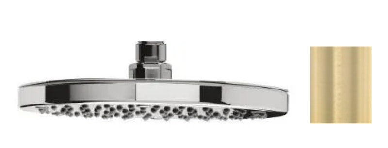 Waterevolution Flow hoofdregendouche 250mm PVD Geborsteld Licht Goud T164325WGE
