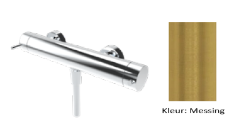 WaterEvolution Flow θερμοστατική μπαταρία ντους με σετ ντους Ορείχαλκος Φυσικό T140TNLE