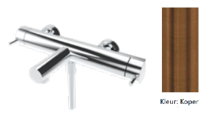 Water Evolution Flow μίκτης ντους δύο κατευθύνσεων με χειροκίνητο ντους PVD Χαλκός T130NCPE