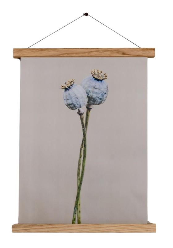 Woodsea Frame S - Δρυς μαγνητικό πλαίσιο S (A4) 1208971603